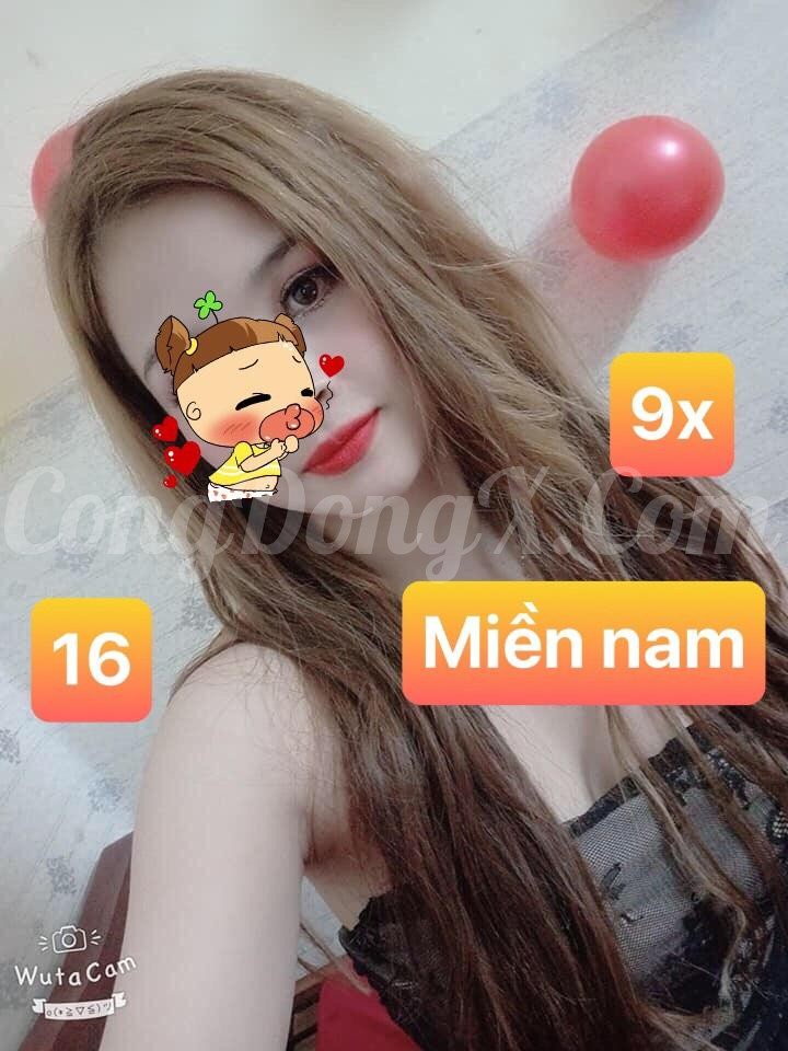 KTV MS 16 windy duy tân