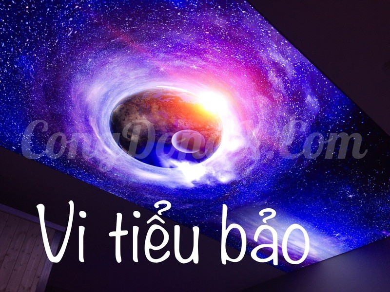 C882E26A-613A-4B9D-A040-521C7185B3B2.jpeg