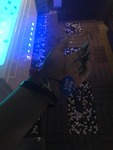 received_649785672412822.jpeg