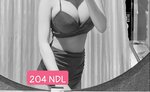 204.ndl.jpg