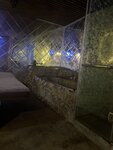 IMG_1373.jpeg