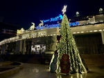 IMG_7627.JPG