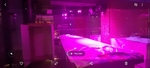 Screenshot_20201208-162810_Gallery.jpg