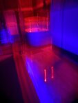 IMG_8816.jpeg