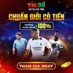 Tic88_BANER_BRANDING.png