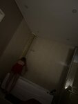 575B996A-3B47-474E-BBF2-88513CD1BF3E.jpeg