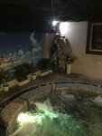 IMG_1880.jpg