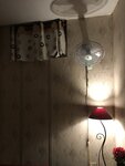 IMG_1881.jpg