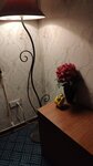 IMG_20221122_144624.jpg