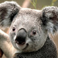 duongdaidot