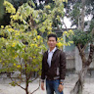 zane vo