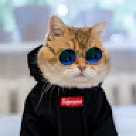 Hanhnguyen