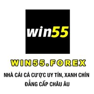 win55forexx