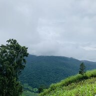 tuandamdang