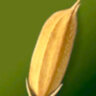 hailuathichmua