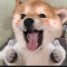 Neyugnah
