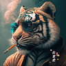 Joker9x