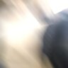 mrdonlee