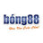 nhacaibong88